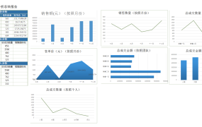 EXCEL销售数据分析透视图模板，分析利器，洞悉趋势【1038】