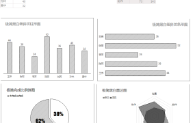 EXCEL数据透视图模板，黑白风格，减少了干扰，专注于数据本身。【1183】