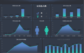 EXCEL人力资源分析管理系统：精细洞察，优化管理【1268】