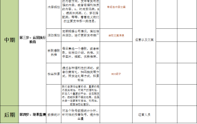 excel做的运营计划
