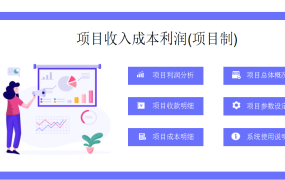 EXCEL项目收入成本利润表：全面掌握项目财务，提升管理效能【1492】
