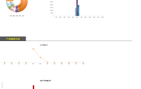 excel做的销售报告（图表自动，高大上，自动计算）【10546】