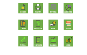 Excel专业级财务系统：自动结转跨年记账，凭证总账报表联动，凭证一键打印【10641】