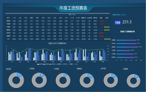 Excel商务年度工资预算表，动态图表设计，一键变色高质量展示