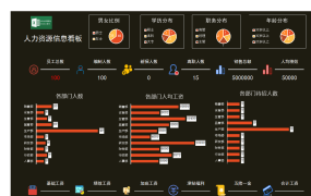 Excel人力可视化信息化看板,多图表动态显示直观展示超清晰