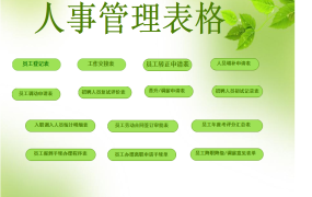 【人力资源】Excel超实用人事管理表格，完整表格框架，高频率表格直接套用