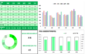 超实用销售业绩分析图,多图同步自动显示,Excel完美套用不加班