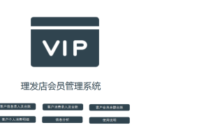 Excel模版:VBA会员管理系统,智能管理客户信息,统计消费数据【11409】
