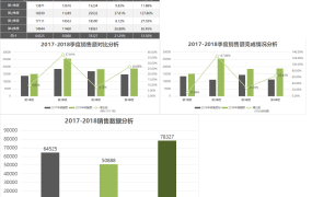 【图形图表】Excel精致公司年度图表,智能化图表分析,简约套用不加班