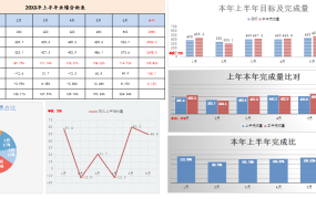 Excel多图表业绩分析图,自动半年数据计算,快手套用工作轻松