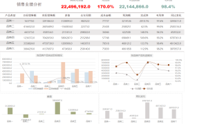 Excel销售业绩分析看板,动态多图表显示,函数统算直接显示