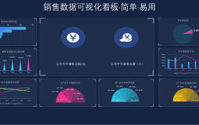 Excel销售数据分析可视化报表，分析展示图表动态，实用轻松