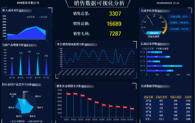 Excel销售数据可视化分析看板，多图动态图形图表，轻松套用