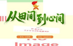 【带讲稿】少先队活动课：从田间，到心间——一篮蔬菜的来时路